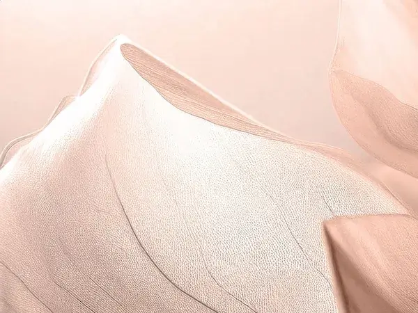 Ton - sur - ton behang 2